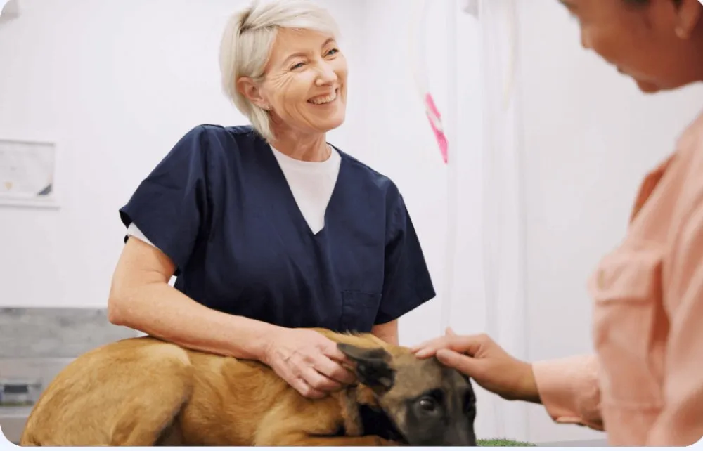 Veterinarian with a dog